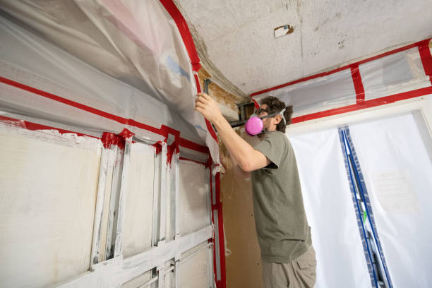 Best Crawl Space Mold Remediation  in Englewood, OH